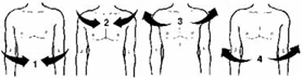 The Four Phases of Deep Slow Breathing